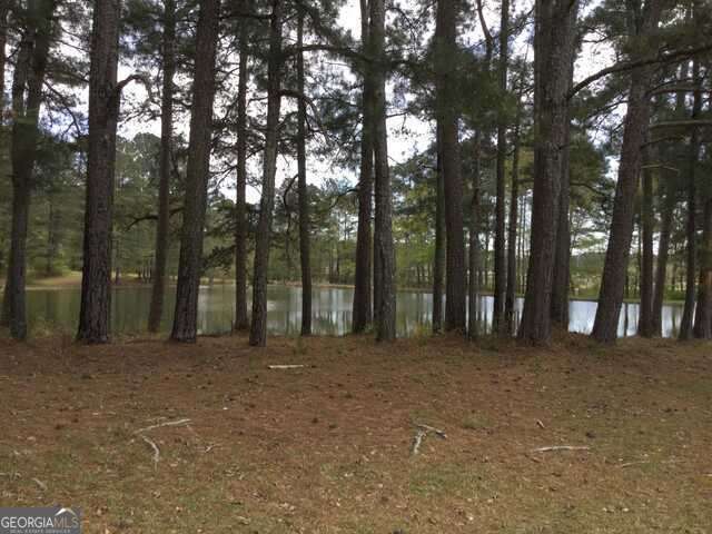 1305 & 1307 Hwy 54 East HWY