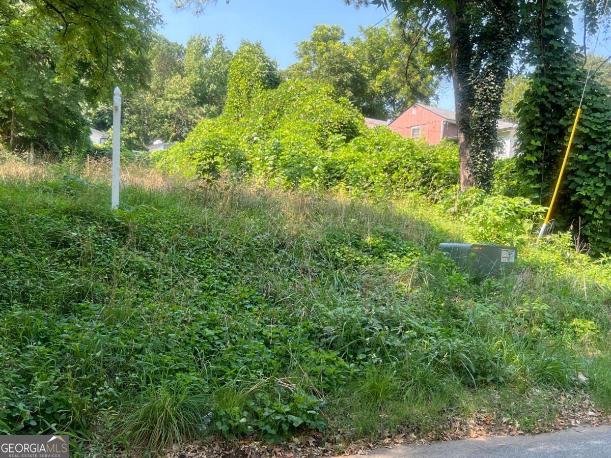 Fantastic opportunity to own a prime piece of land in the heart of Atlanta! This spacious lot at 2554 Etheridge Drive offers incredible potential for new construction or investment. Located in an area experiencing rapid development, this property provides convenient access to major highways, downtown Atlanta, Hartsfield- Jackson Airport, and the Beltline. Whether you're building your dream home or a rental property, this is the perfect canvas for your vision. Don't miss out on this hidden gem in a growing neighborhood!