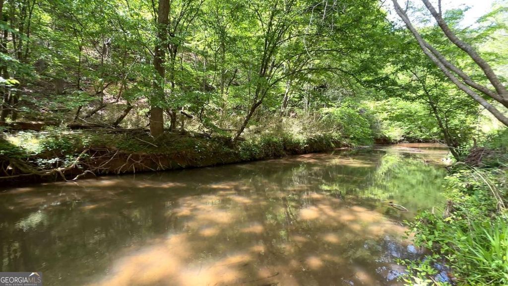 Photo of 25 Mountain Creek Trail NE, Fairmount, GA 30139 (MLS # 10739049)