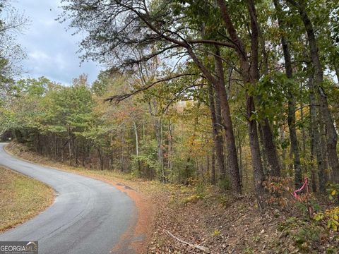Photo of 0 Cagle Road, Fairmount, GA 30139 (MLS # 10631091)