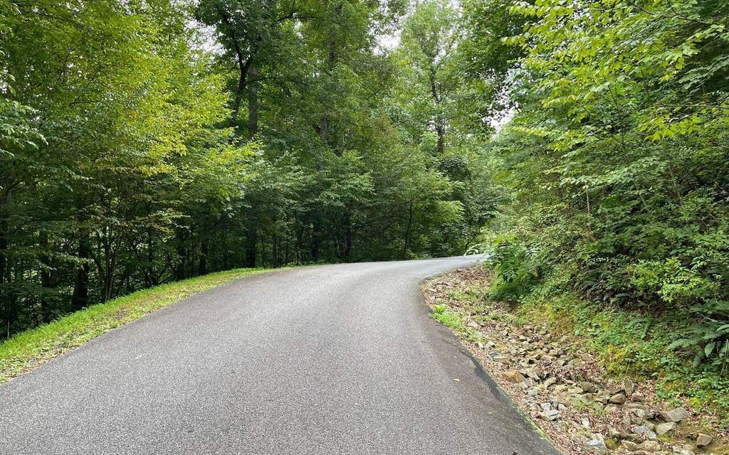 Photo of 7 Bear Trail, Hiawassee, GA 30546 (MLS # 9062544)