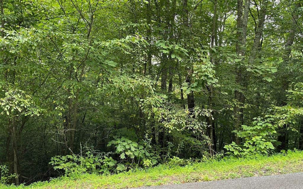 Photo of 7 Bear Trail, Hiawassee, GA 30546 (MLS # 9062544)