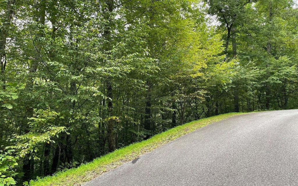 Photo of 7 Bear Trail, Hiawassee, GA 30546 (MLS # 9062544)