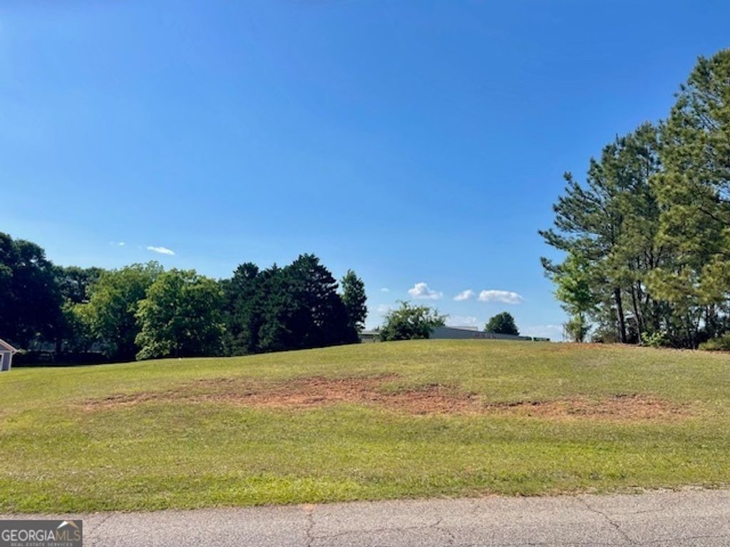 Photo of 317 Smith Street, Royston, GA 30662 (MLS # 10764734)