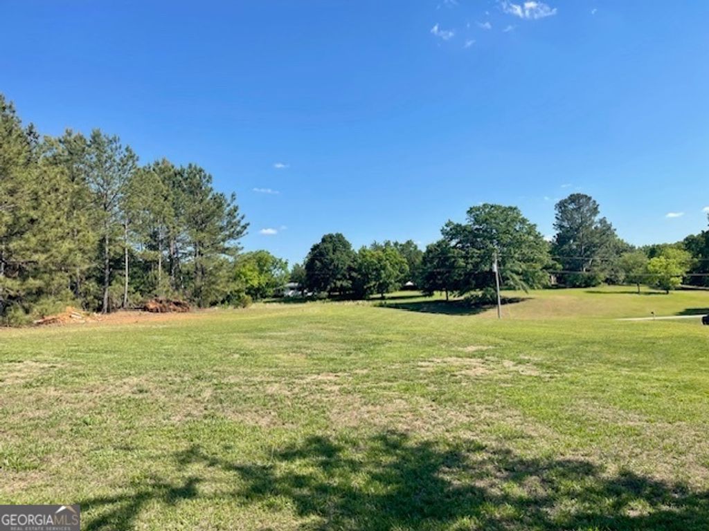 Photo of 317 Smith Street, Royston, GA 30662 (MLS # 10764734)