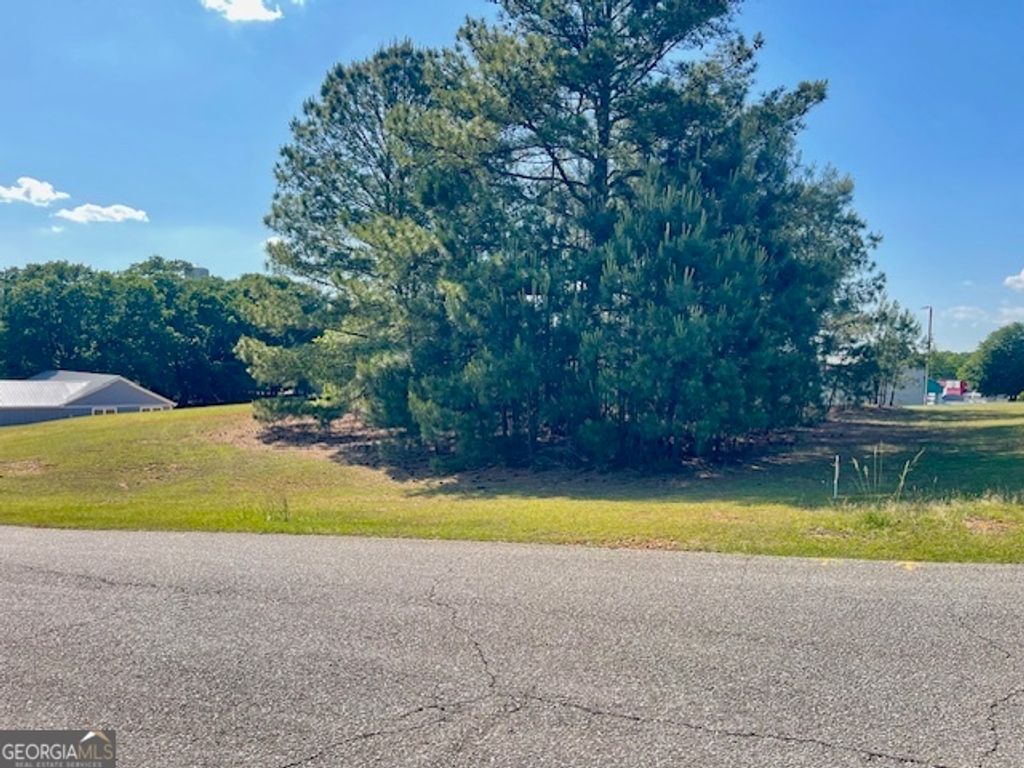 Photo of 317 Smith Street, Royston, GA 30662 (MLS # 10764734)
