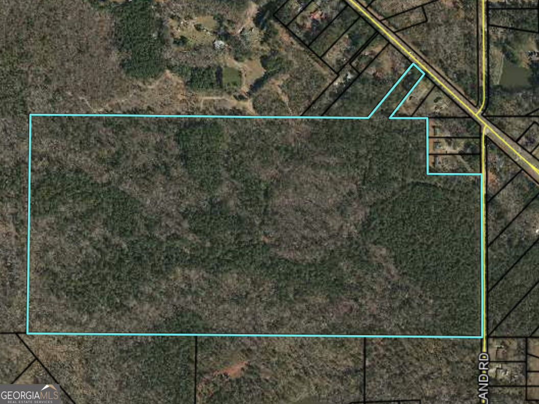 Great location for you to bring your builder! Beautiful 101 acres in highly sought after Griffin, GA. Two miles to shopping and restaurants. A lot of recent growth in this area! Over 1000ft frontage on Westmoreland and 100ft frontage on Fayetteville Road.