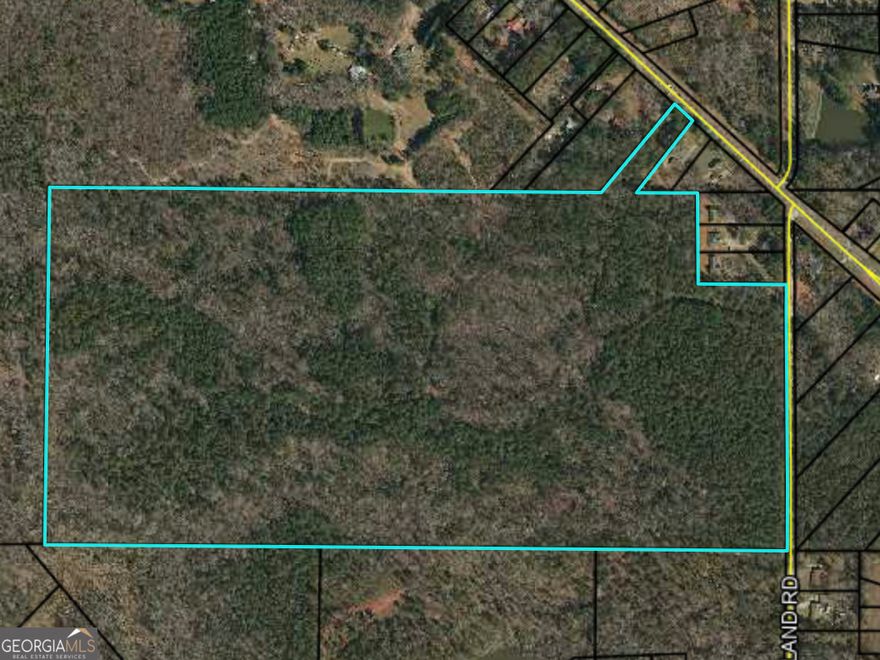 Great location for you to bring your builder! Beautiful 101 acres in highly sought after Griffin, GA. Two miles to shopping and restaurants. A lot of recent growth in this area! Over 1000ft frontage on Westmoreland and 100ft frontage on Fayetteville Road.