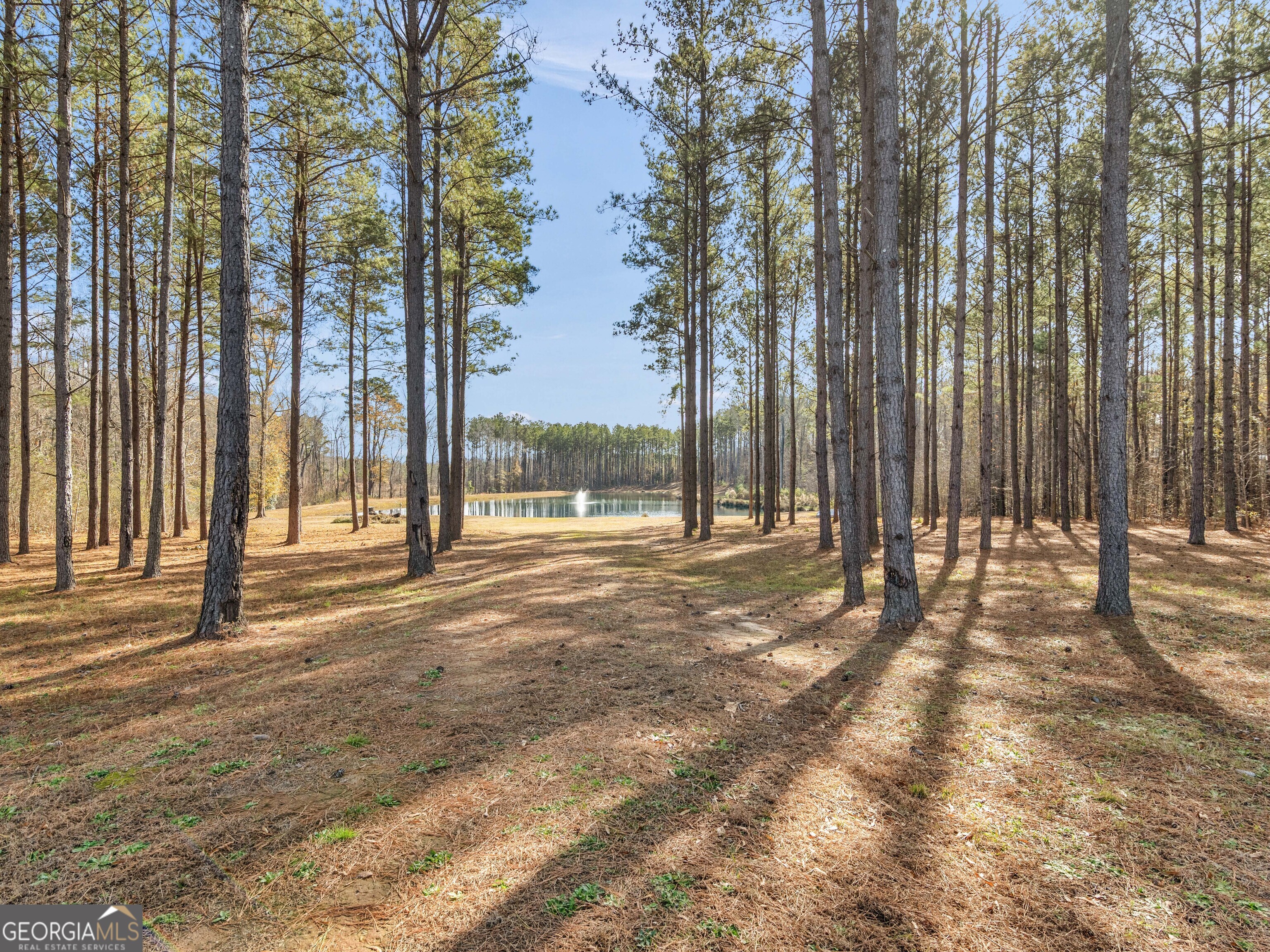 307 Weldon Lake RD