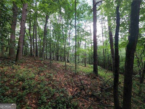 0 Rosen Strasse Helen GA 30545