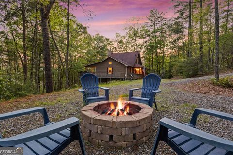 142 Amelia LN Blue Ridge GA 30513