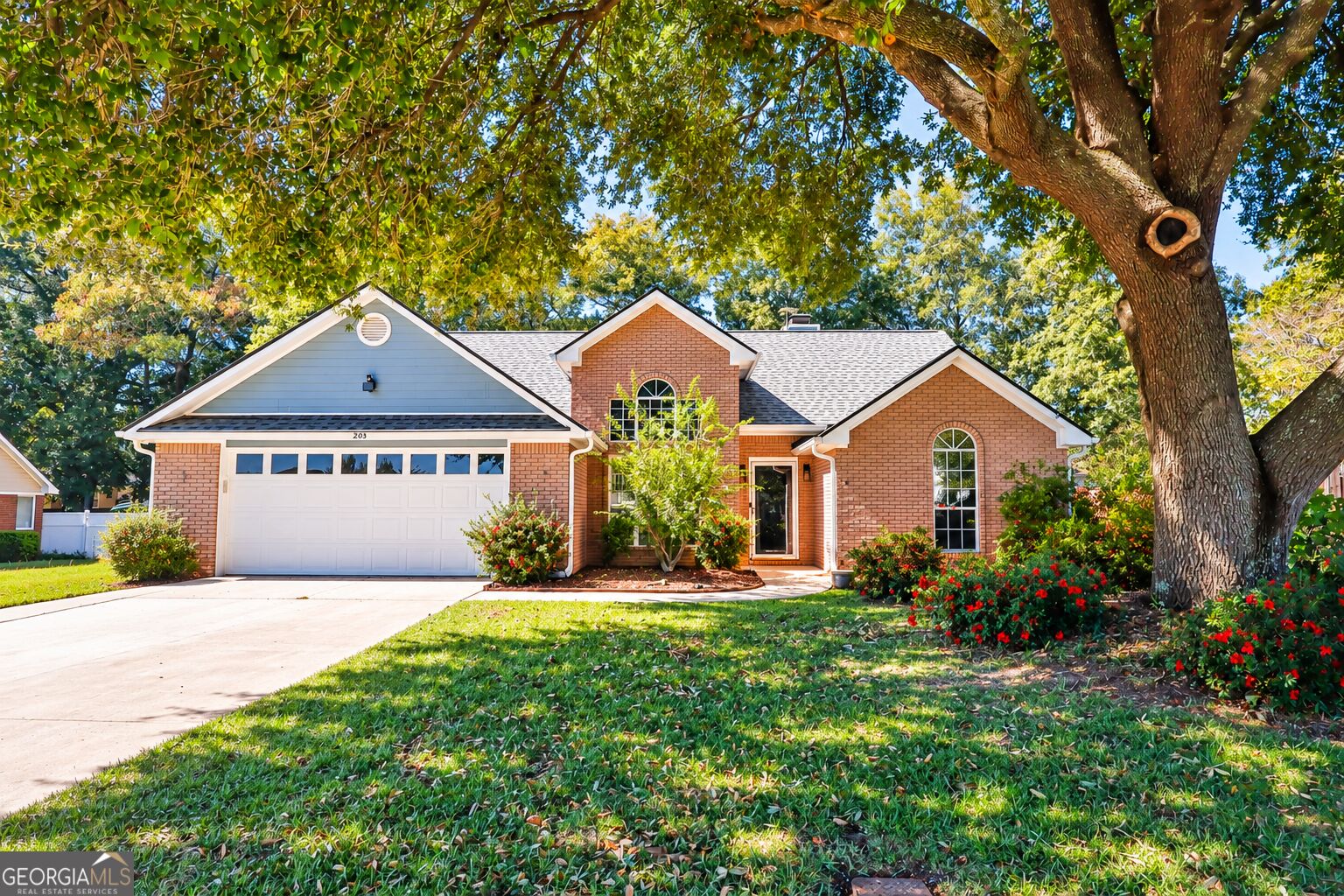 203 Settlers TRL