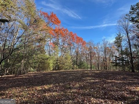 0 John Call RD Ellijay GA 30536