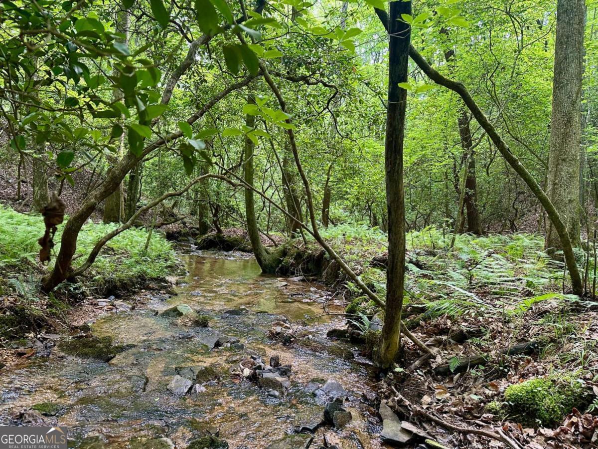 Looking to hear a noisy mountain creek from your back porch? This is that piece of heaven for you! Pictures can't do it justice! Hundreds of feet of wide cascading creek line the back of this gentle & pristine 10.4-/+ acres. Mountain laurel galore, fern lined creek frontage, old road bed for an easy walk/ride to the waterside. This is everything that so many people want. End of the road privacy with a drive cut in & some cleared area already in place. Power and fiber available at the lot! Do you need a spot for a large barn or workshop? This is ready for a huge slab, so much useable land here. Qualifies for two houses, no restrictions on short term rentals. Also that highly sought after size that allows to be put into CUVA for huge tax savings for now if desired. Perfect for clearing for pasture with a beautiful homesite overlooking the creek bottom. But you can paint your picture as this is truly a blank canvas with so many possibilities. Don't miss this rare opportunity. No mobiles, no commercial farming operations. Minutes to Dahlonega. Additional acreage available! Owner financing opportunities, Broker/Owner. This is a new road name and will not map. Please call for directions. This is not Patriot Trail or Freedom Trail.