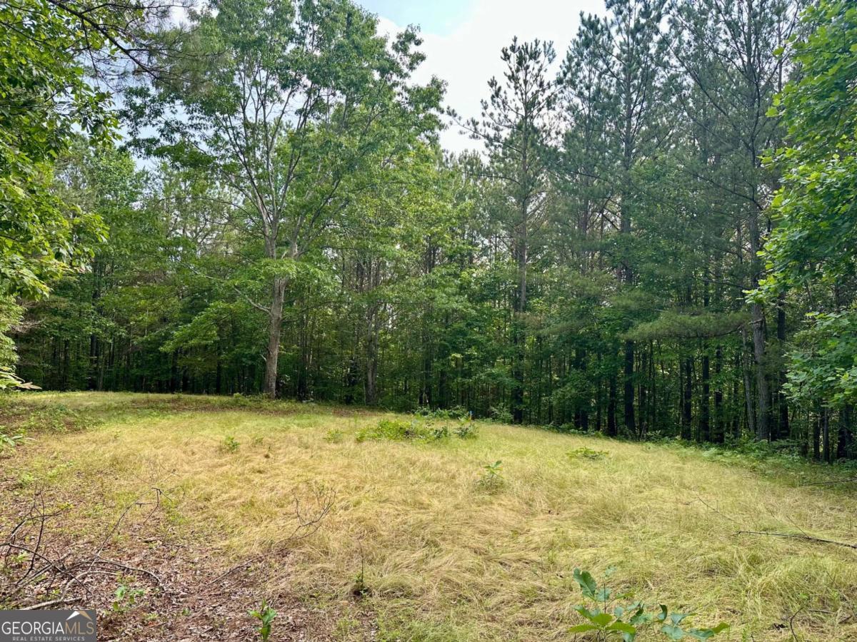 10.4-/+ Freedom View Dr.