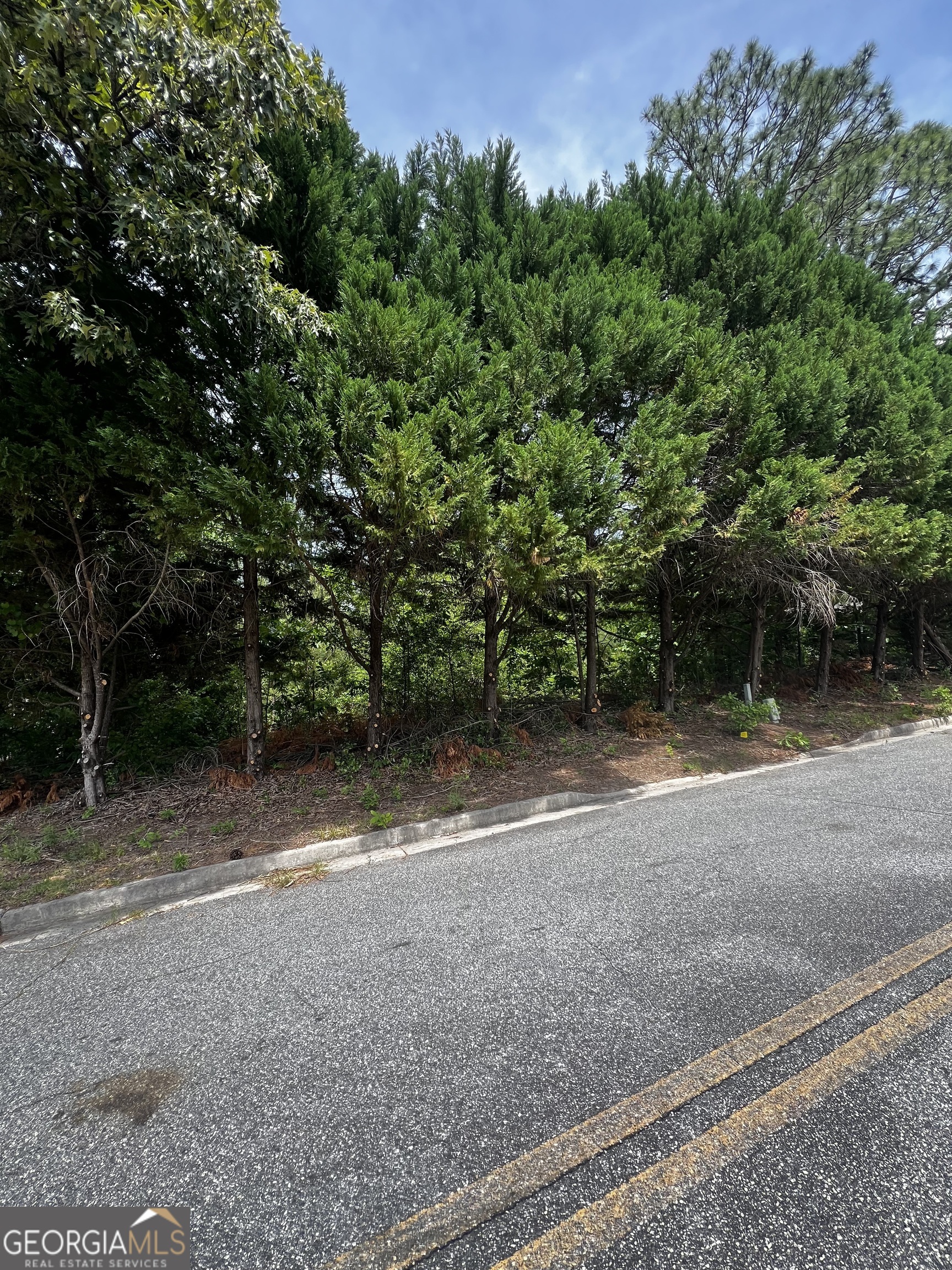 LOT 25 & 26 Plantation DR