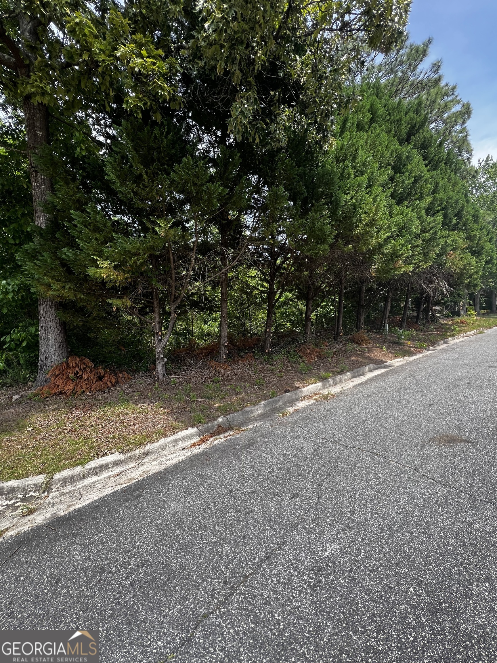LOT 25 & 26 Plantation DR