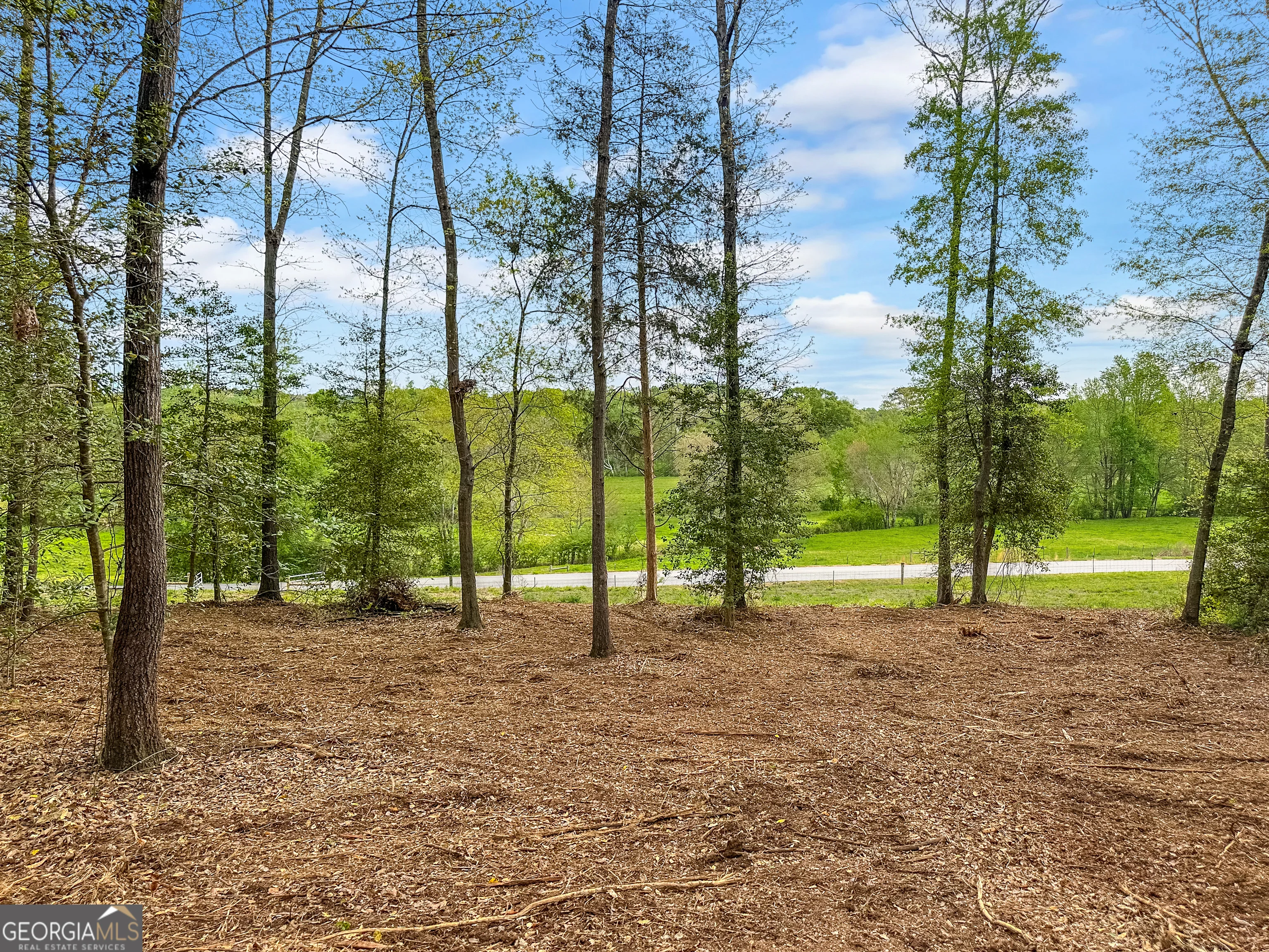 101 Broad River Road Unit LOT 7, Eastanollee, GA, 30538
