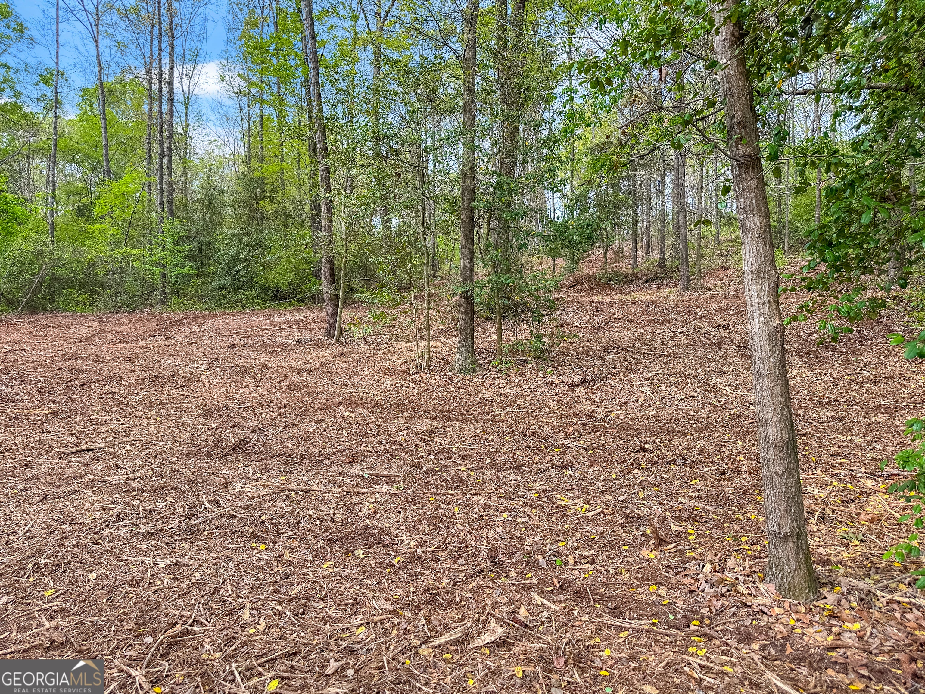 101 Broad River RD LOT 7