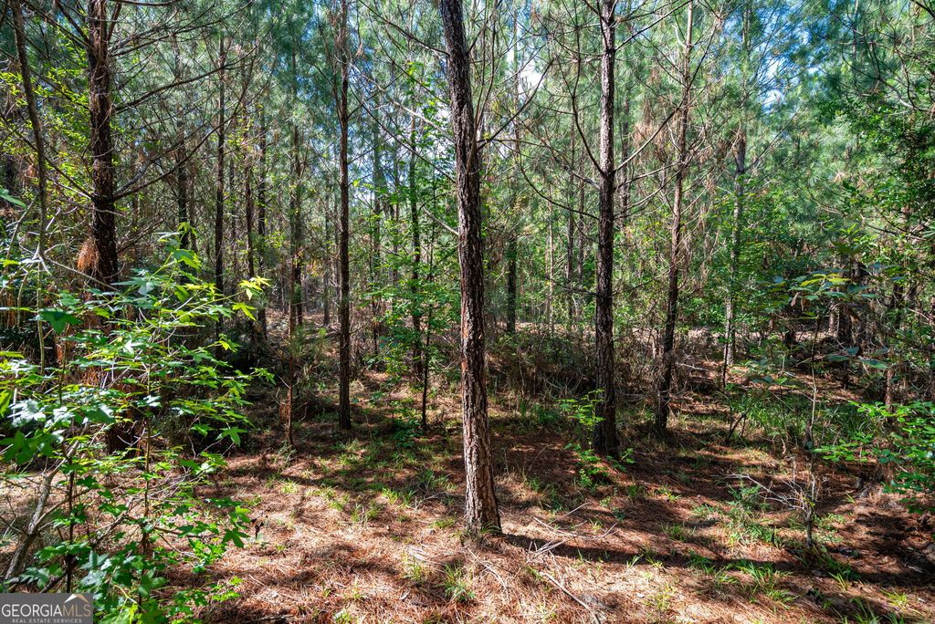 Photo of 2 Brewer's Bridge Road, Elberton, GA 30635 (MLS # 10791232)