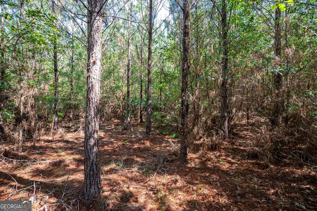 Photo of 2 Brewer's Bridge Road, Elberton, GA 30635 (MLS # 10791232)