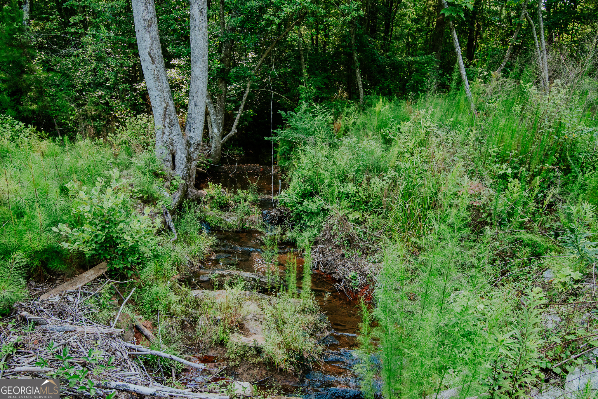 260 TRACT 3 Fabiano RD