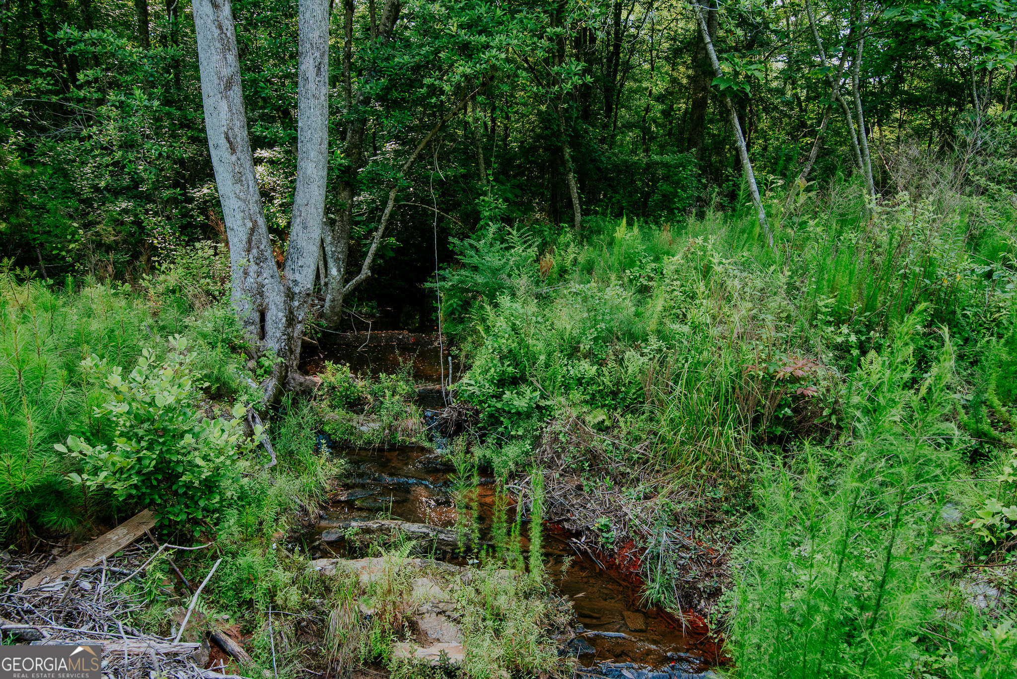 260 TRACT 3 Fabiano RD