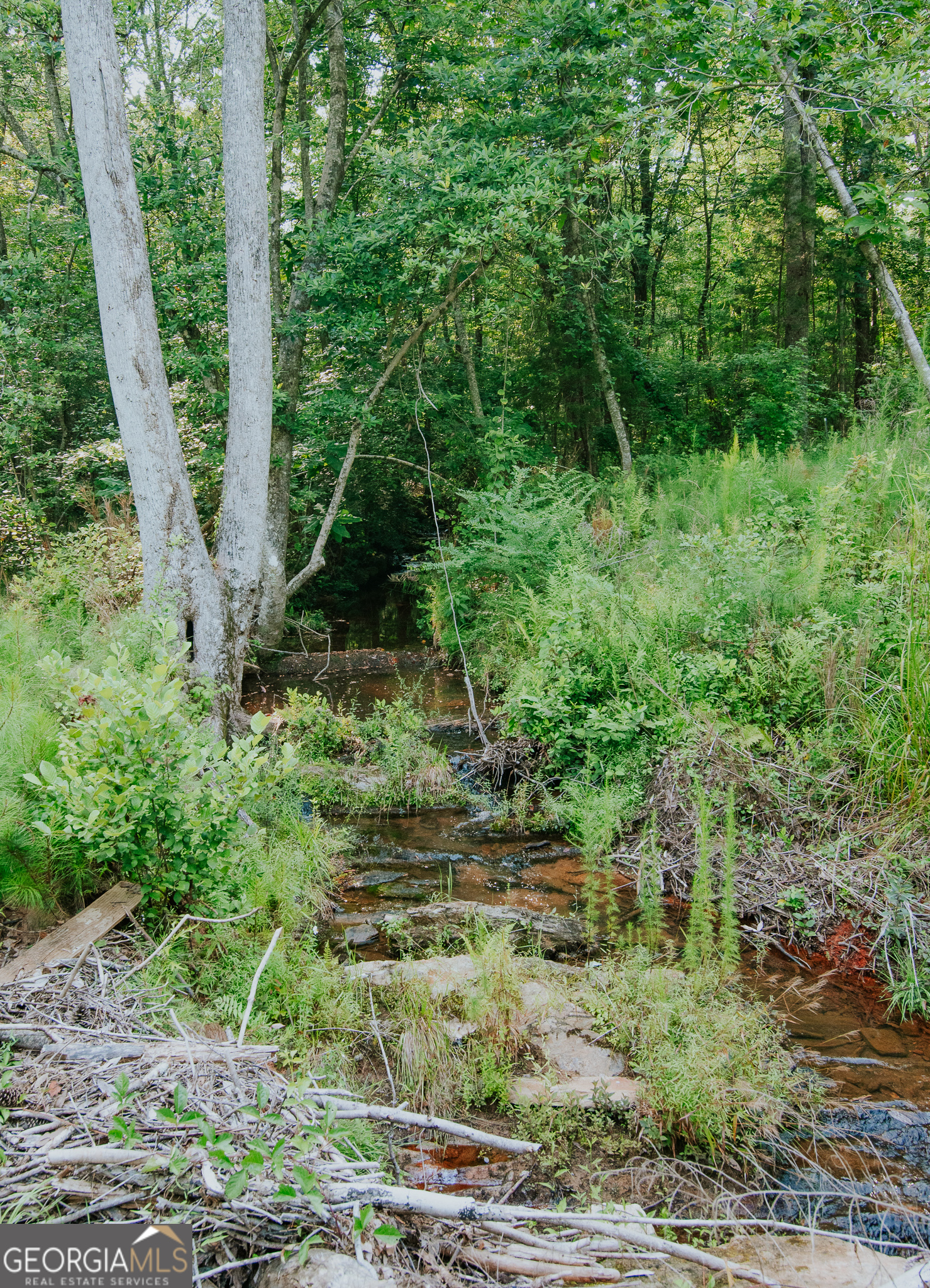 260 TRACT 3 Fabiano RD