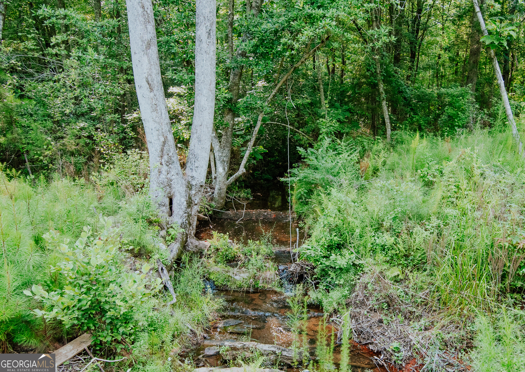 260 TRACT 3 Fabiano RD