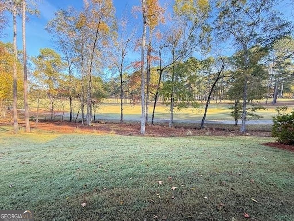 Photo of 1159 Winged Foot Drive, Greensboro, GA 30642 (MLS # 10758642)