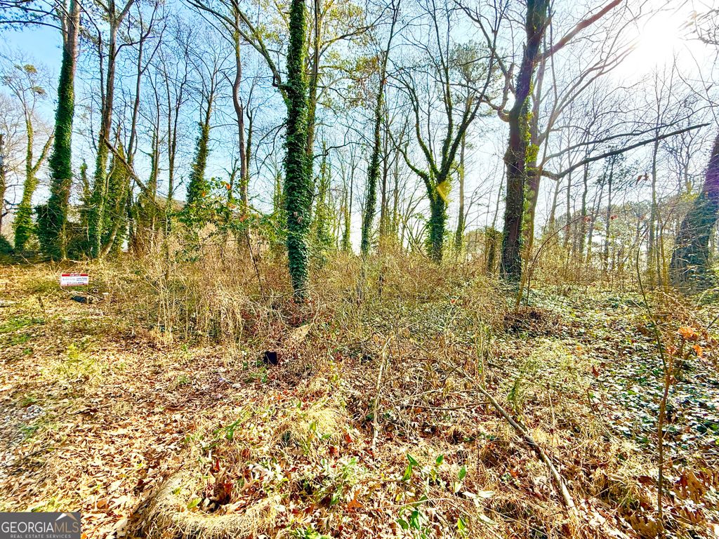 Photo of 2174 Wilson Avenue N, Atlanta, GA 30314 (MLS # 10668286)