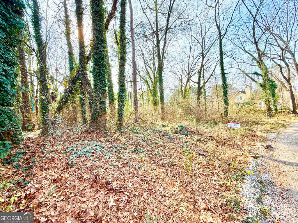 Photo of 2174 Wilson Avenue N, Atlanta, GA 30314 (MLS # 10668286)