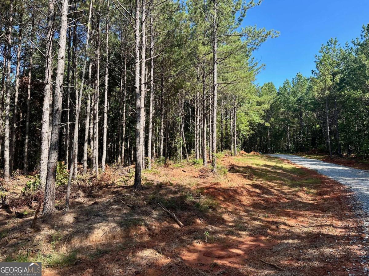 NO HOA! New Beautiful Ranchette Opportunity. Privacy abounds! Perfectly shaped, gentle, level, 5.1-/+ ac. Slab or basement friendly. Multiple options for driveway or building spots. Ample road frontage and depth. Power and Fiber available at tract. Level drive in, just off the paved county road. In an area of similar styled & sized land. Space! Dark night skies, minutes to National Forest or Dahlonega. Not far from everything North Georgia! Bring your toys, bring your dreams! New road, address will not map. Easy appointment, not a drive-by location. Property is suitable for a family compound. No restrictions on short term rentals. Broker/Owner. Additional acreage available. Owner financing available. Home & land trades considered also. This is not Patriot Trail or Freedom trail.