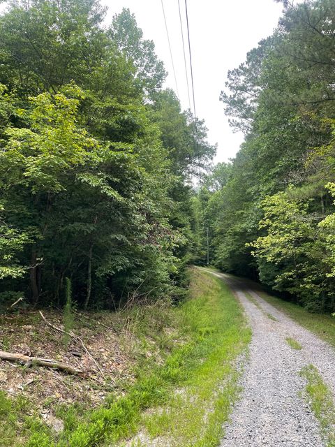 Photo of 843 Albus Court NE, Ranger, GA 30734 (MLS # 10182605)