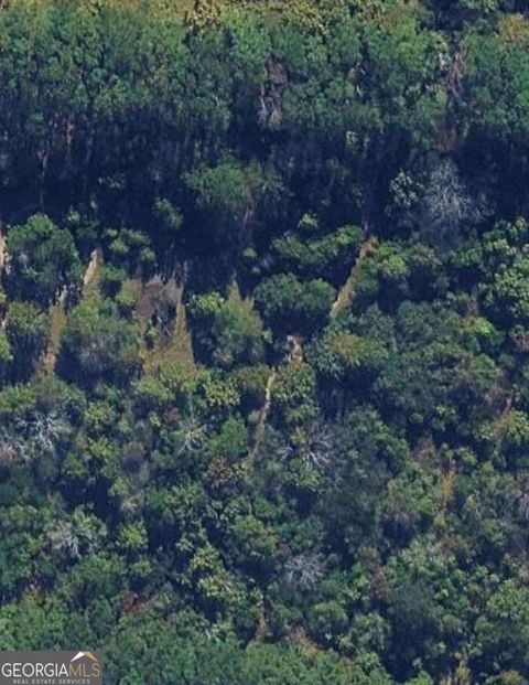 Photo of 0 Willow Creek Run, Cochran, GA 31014 (MLS # 10581145)