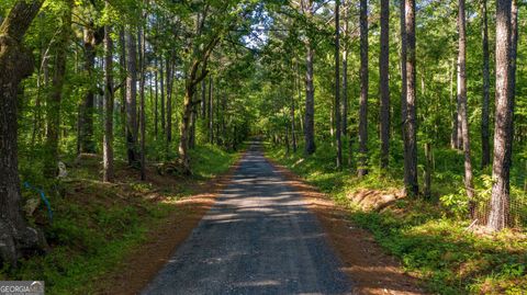 0 Padgett RD LOT 8 Senoia GA 30276