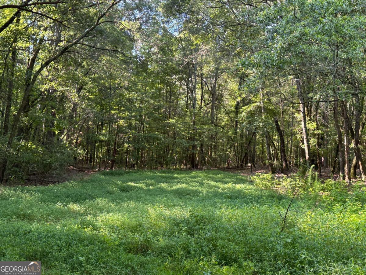 9892 Jefferson River RD