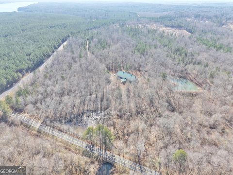 Photo of 1260 Hillview Road, Hampton, GA 30228 (MLS # 10716024)