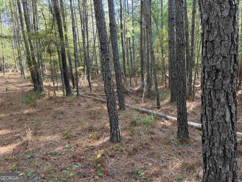 Photo of 672 Twin Bridges Road, Eatonton, GA 31024 (MLS # 10846211)
