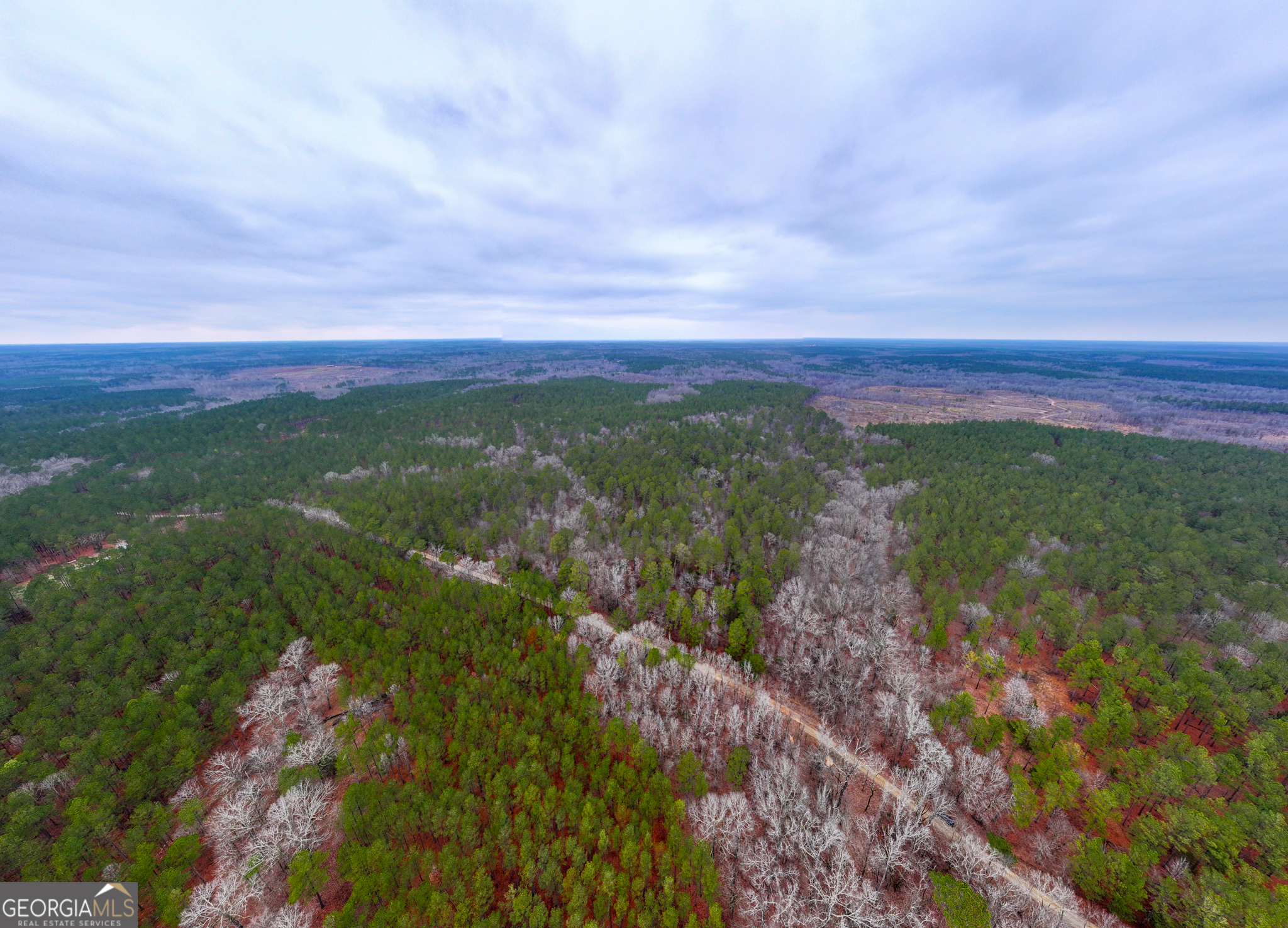 44.61 ACRES Arnold Caldwell RD