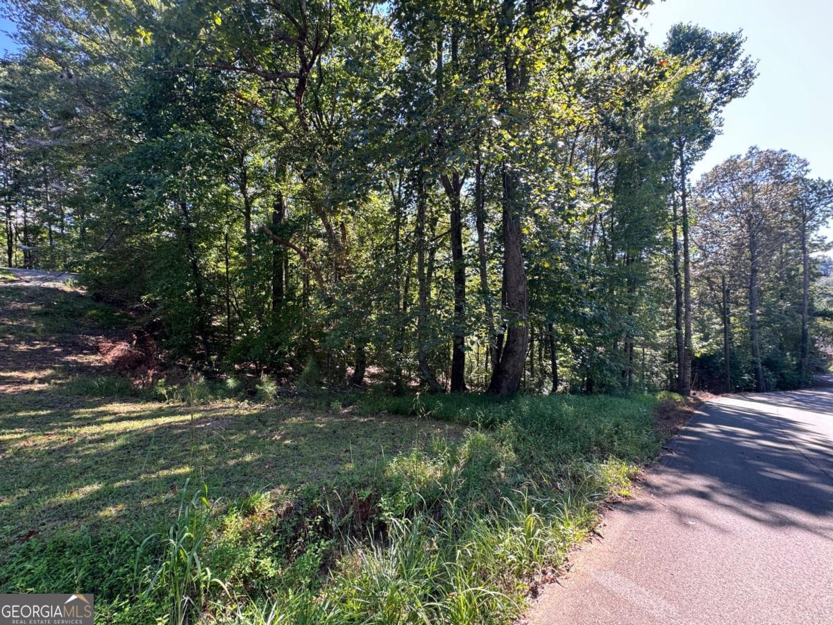 Watch video: Seasonal views on Army Corps bordering waterfront property (hike and explore these public lands, swim where the river meets the lake if you're fit for the hike down) with recent survey ready for your builder to get started building your dream home. HOA dues can be as low as $1440/year if lots are combined. FIBER internet & ALL PAVED ROADS 2 minutes from the Indoor Recreation center (indoor pool, fitness center, pickleball, tennis, 19 holes of putt putt, basketball) and 5 minutes to one of the gates of the subdivision. Welcome to the Coosawattee River Resort, a place where wildlife enhances life with a daily dose of deer sightings! many more activities and amenities await you whether you are looking for a full time or vacation home (STRs are permitted). Existing utilities are public water, phone, power, fiber internet. Buyers will have to install septic at time of build. Clear trees for a better year round Mountain View!