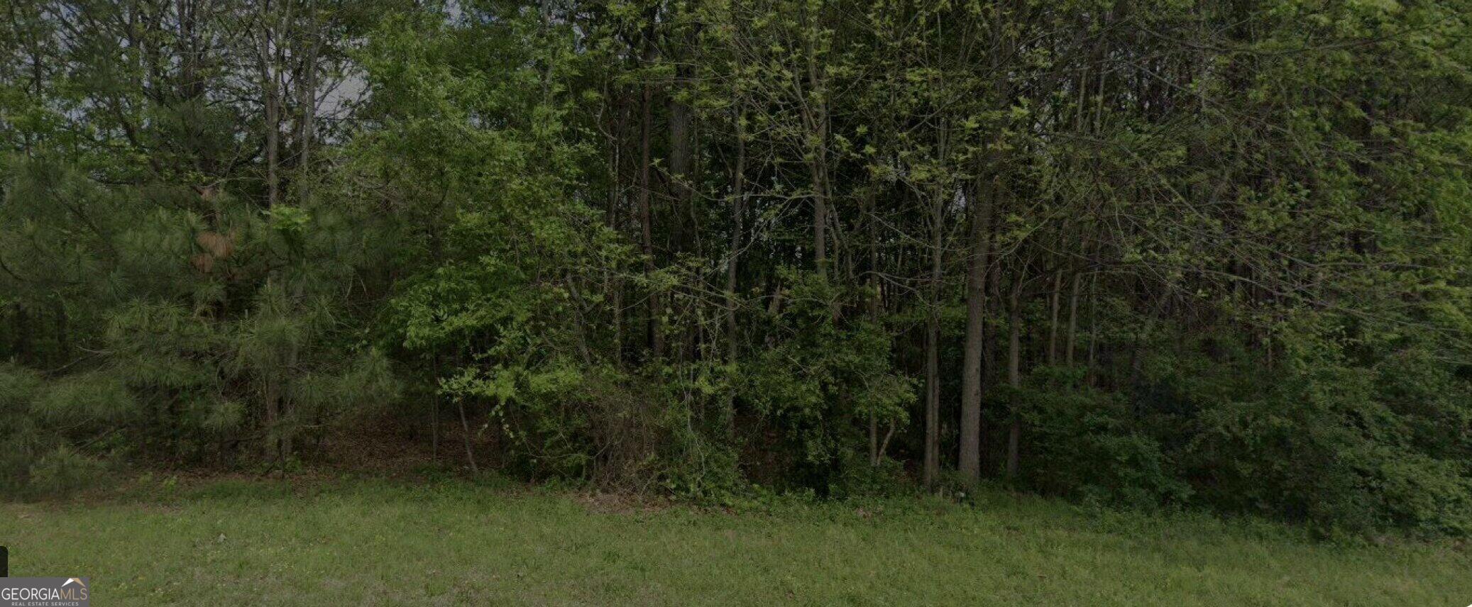Just hitting the market, lot for sale at 389 Whitney Ln, Mcdonough, GA 30253