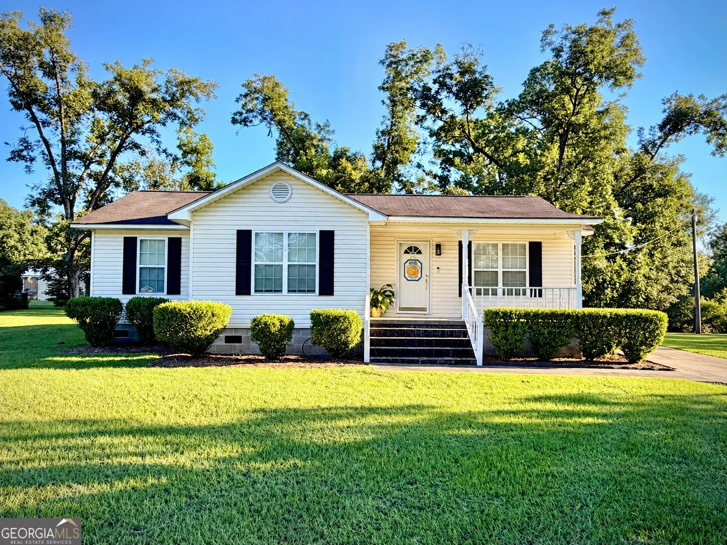 224 North Avenue, Adrian, GA, 31002