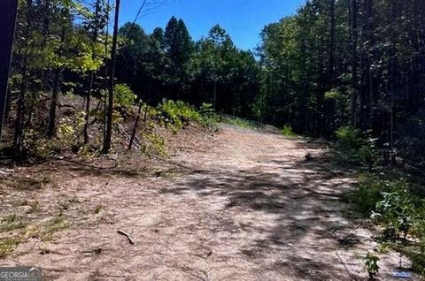 Photo of 315 Delta Lane, Rockmart, GA 30153 (MLS # 10846292)