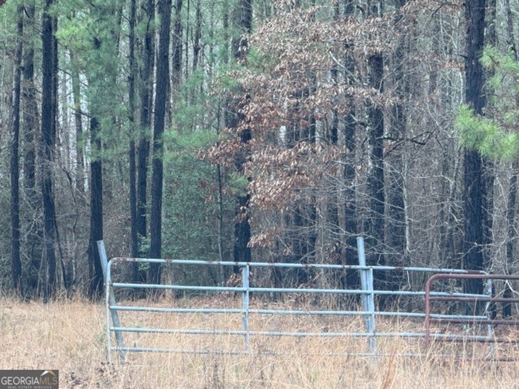 Photo of 470510 Ivey Farms Rd, McIntyre, GA 31054 (MLS # 10700471)