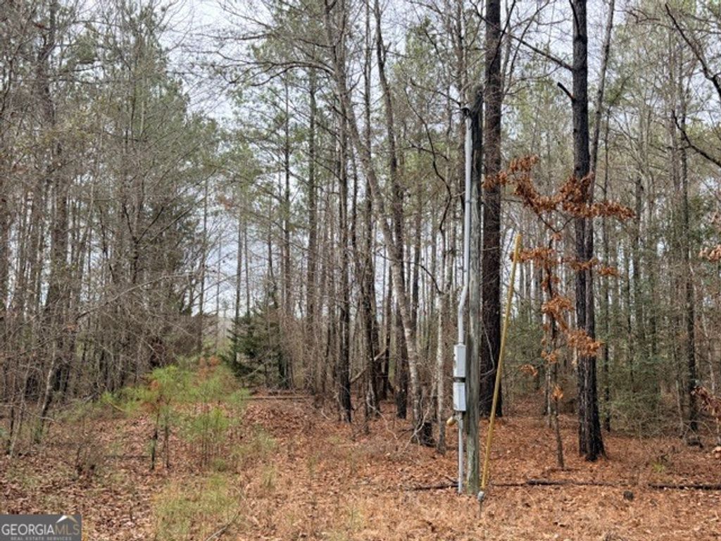 Photo of 470510 Ivey Farms Rd, McIntyre, GA 31054 (MLS # 10700471)