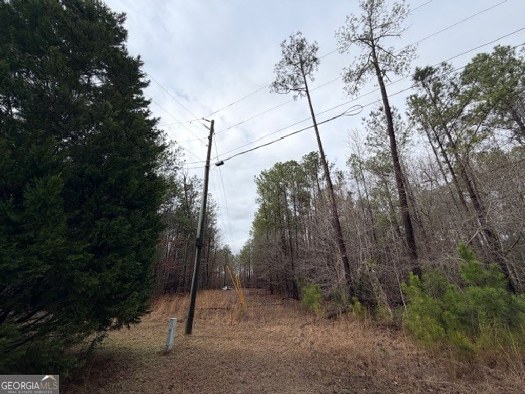 Photo of 470510 Ivey Farms Rd, McIntyre, GA 31054 (MLS # 10700471)