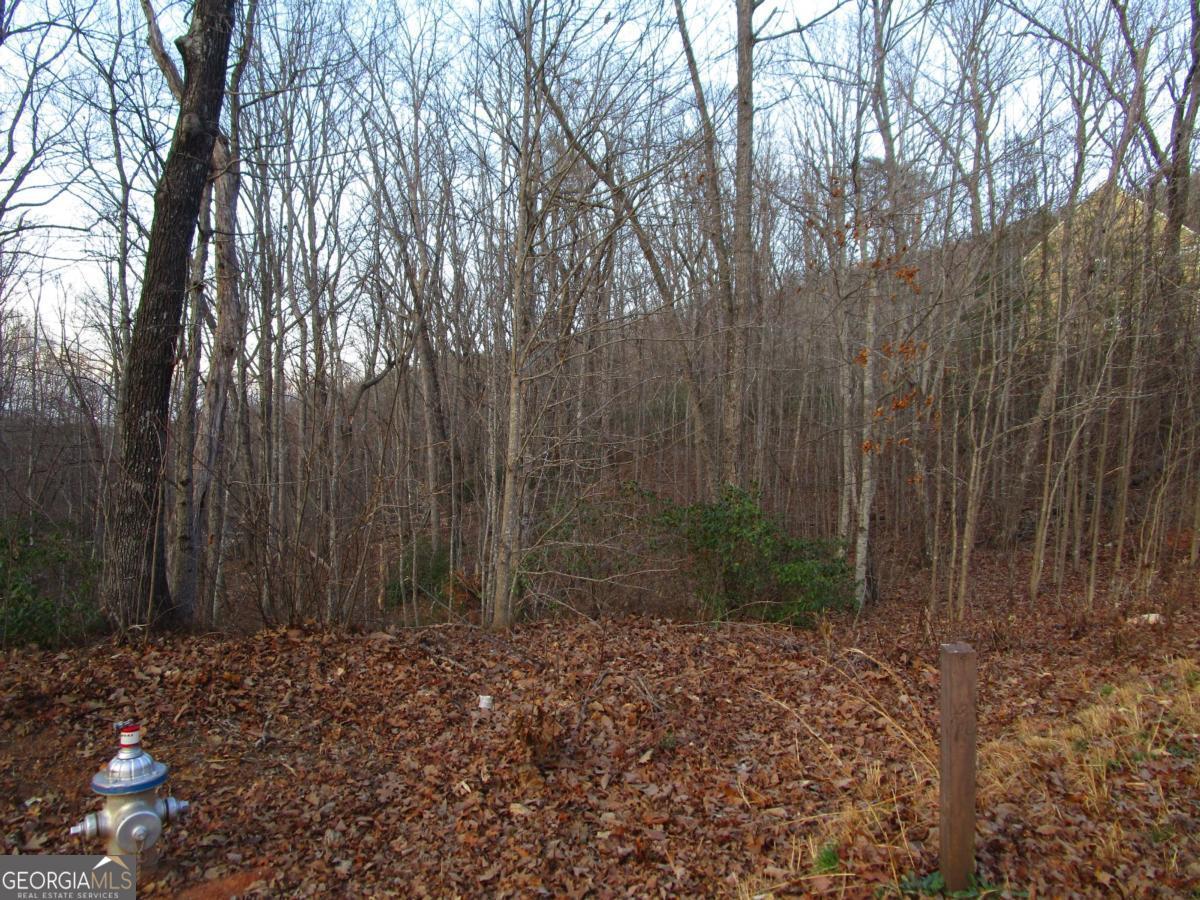 LOT 21 Long Mountain TRL