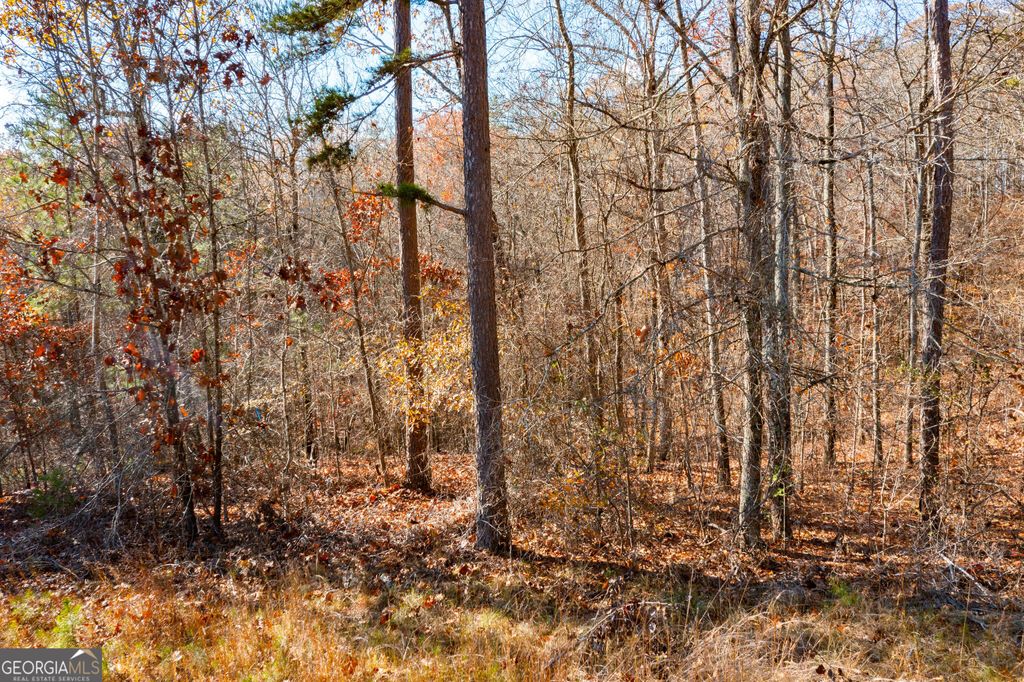 Photo of 0 Kingston Highway, Kingston, GA 30145 (MLS # 10678581)