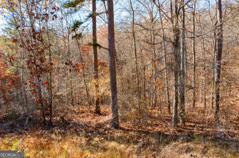 Photo of 0 Kingston Highway, Kingston, GA 30145 (MLS # 10678581)
